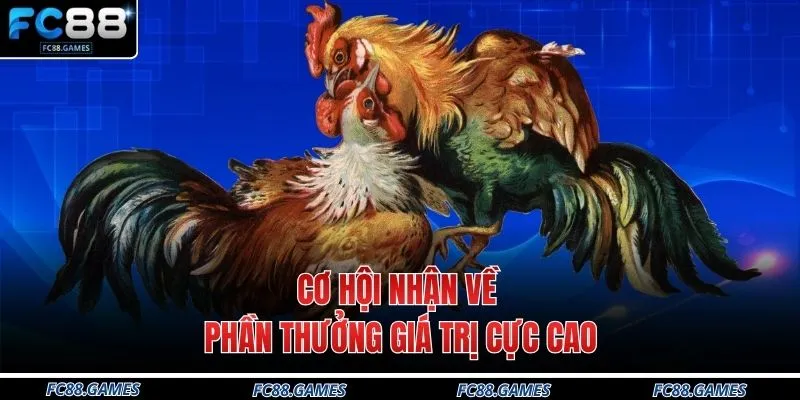 Đá Gà FC88 4 Cơ hội nhận về phần thưởng giá trị cực cao